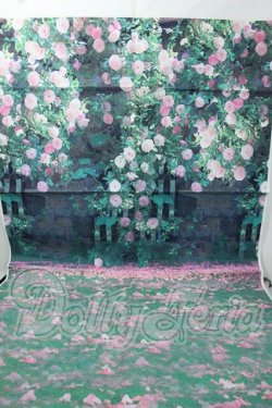 画像1: SD/背景布 横60cm×縦126cm Y-26-07-07-268-WT-ZY