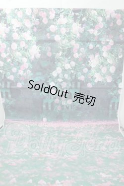 画像1: SD/背景布 横60cm×縦126cm Y-26-07-07-268-WT-ZY