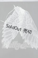 SD/OF:ケープ Y-26-07-07-214-WT-ZY