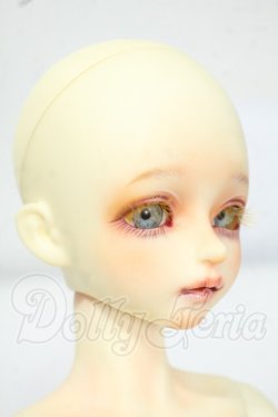画像2: MYOUDOLL/Zuzana Y-26-07-07-300-WT-ZY