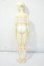 画像6: MYOUDOLL/Zuzana Y-26-07-07-300-WT-ZY (6)