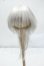 画像1: 8-9inch/DOLK ORIGINAL ウィッグ Y-26-07-14-056-WT-ZY (1)