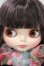 画像4: ネオブライス/ケイタマルヤマフォーブライス　ジェイドガーデン Y-26-07-07-250-WT-ZY (4)