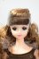 画像1: ジェニー/ジュリア:ジェニー・フレンドドール LIMITED EDITION Y-26-07-14-136-WT-ZY (1)
