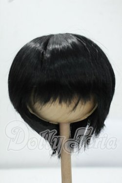 画像1: 8-9inch/ウィッグ Y-26-07-14-054-WT-ZY