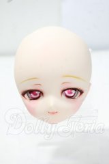 DDH-01/PFMdoll(Pink Flamingo MOTEL)様 カスタムヘッド Y-26-07-14-266-WT-ZY