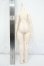 画像2: MDD/もちあしベースボディ(DD-f3) Y-26-07-21-006-WT-ZY (2)