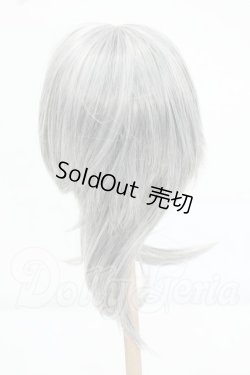 画像2: 9-10inch/ウィッグ Y-26-07-21-015-WT-ZY