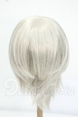 画像2: 9-10inch/ウィッグ Y-26-07-21-017-WT-ZY