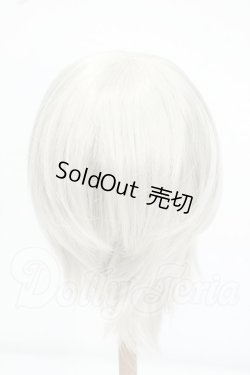 画像2: 9-10inch/ウィッグ Y-26-07-21-017-WT-ZY
