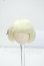 画像1: 5inch/ウィッグ Y-26-07-21-120-WT-ZY (1)