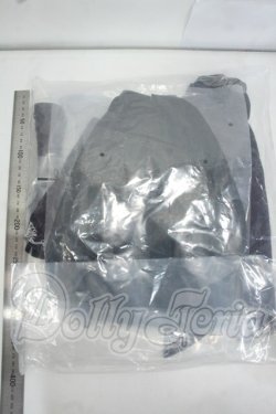 画像2: DDS/セイバー アルトリア・ペンドラゴン オルタ デフォルト衣装 Y-26-07-21-009-WT-ZY