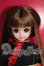 画像1: ジェニー/20th Anniversary 撫松庵　エクセリーナ Y-26-07-28-001-WT-ZY (1)