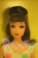 画像1: バービー/フランシー francie 30th anniversary Barbie doll’s MODern cousin Y-26-07-28-043-WT-ZY (1)