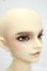 画像2: SD17BOY/マクシミリアン:星間学寮Ver. Y-26-07-28-006-WT-ZY (2)