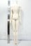 画像2: Charm Doll/CDB-B71-01 Boy Body Y-26-07-28-004-WT-ZY (2)