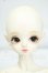 画像1: Peak’s Woods/FOB Little Yeru Y-26-07-28-118-WT-ZY (1)