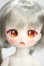 画像1: TinyFox/幼い赤狼リトルアンナ1/6 Y-26-07-28-114-WT-ZY (1)