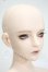 画像2: RINGDOLL/Warlock Apprentice-Hui Y-26-07-28-126-WT-ZY (2)