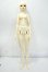 画像5: MYOU DOLL/Grace 1/3 Y-26-07-28-109-WT-ZY (5)