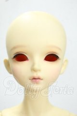 Myoudoll/Delia 1/4 Y-26-07-28-108-WT-ZY