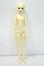 画像5: Myoudoll/Delia 1/4 Y-26-07-28-108-WT-ZY (5)