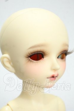 画像2: Myoudoll/Delia 1/6 Y-26-07-28-103-WT-ZY
