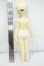 画像6: Myoudoll/Nina 1/6 Y-26-07-28-101-WT-ZY (6)