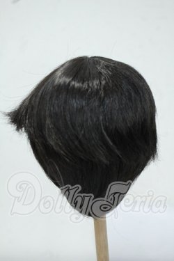 画像2: 9-10inch/ウィッグ Y-26-07-28-061-WT-ZY