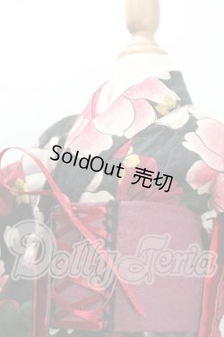 画像2: SDGrG/OF:Anemone様製 着物ドレスセット Y-26-08-11-008-WT-ZY