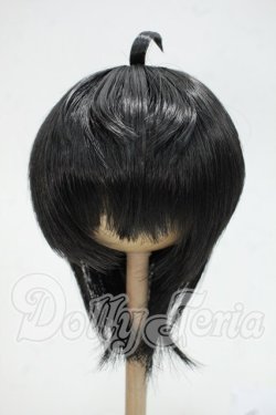 画像1: 8-9inch/ウィッグ Y-26-08-18-071-WT-ZY