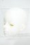 画像3: UNIVERSE DOLL/1/4ヘッド Philiks Y-26-08-04-170-WT-ZY (3)