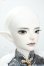 画像3: Fream Valley/Ehecatl Rule Ver. Fullset Y-26-08-04-174-WT-ZY (3)