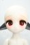 画像1: Tiny fox/狐狐神・闇神グラファ「Grapha」 Y-26-08-04-173-WT-ZY (1)