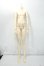 画像1: DREAM VALLEY/B73-01 Boy Body Y-26-08-18-008-WT-ZY (1)