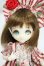 画像1: DOLLCE/ミニスウィーツドール：カモミール Y-26-08-04-007-WT-ZY (1)
