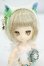 画像1: DOLLCE/ミニスウィーツドール:シロネ Y-26-08-04-012-WT-ZY (1)