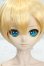 画像1: DDS/鏡音レン Y-26-08-11-006-WT-ZY (1)