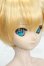 画像2: DDS/鏡音レン Y-26-08-11-006-WT-ZY (2)