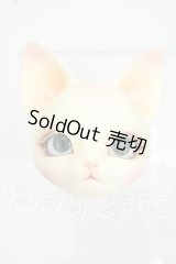 PIPOS DOLL/R.PIタイプ ヘッド Y-26-08-18-365-WT-ZY