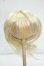 画像1: 8-9inch/ウィッグ Y-26-08-18-229-WT-ZY (1)