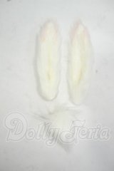 DD/OF:マグネット式けもみみ+しっぽ Y-26-08-11-285-WT-ZY