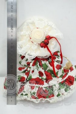 画像3: Madam Alexander/SCARLET ROSE PICNIC 15030 Y-26-08-11-153-WT-ZY