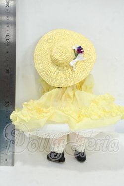 画像3: Madame Alexander/SCARLETT O’HARA - 93 - 8 Y-26-08-11-143-WT-ZY