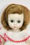 画像1: Madame Alexander/8inchドール+衣装 Y-26-08-11-159-WT-ZY (1)