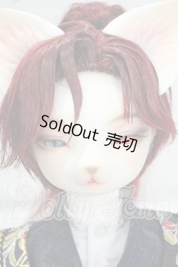 画像1: DEARMINE/LUNE COOL　文豪 limited ver. Y-26-08-18-133-WT-ZY