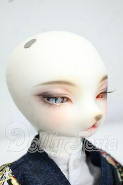 画像3: DEARMINE/LUNE COOL　文豪 limited ver. Y-26-08-18-133-WT-ZY
