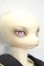 画像3: DEAR MINE/OSKAR Gray skin ~Festival~ Y-26-08-18-132-WT-ZY (3)