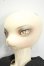 画像4: DEAR MINE/OSKAR Gray skin ~Festival~ Y-26-08-18-132-WT-ZY (4)