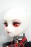 画像4: DEAR MINE/VIVIEN L. 曼珠沙華 ver. Limited Y-26-08-18-131-WT-ZY (4)